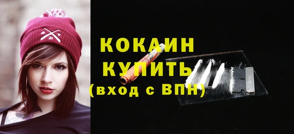 дурь Бородино