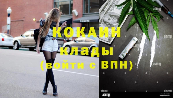 дурь Бородино