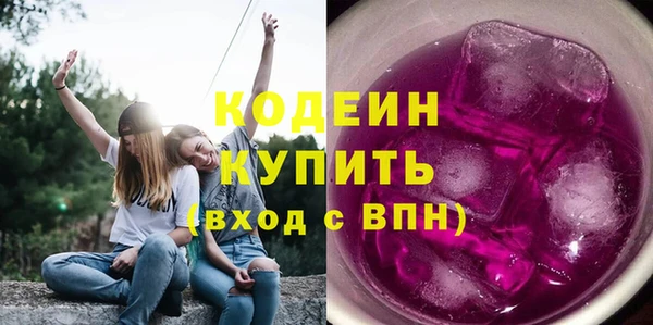 дурь Бородино