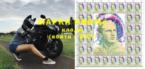 дурь Бородино
