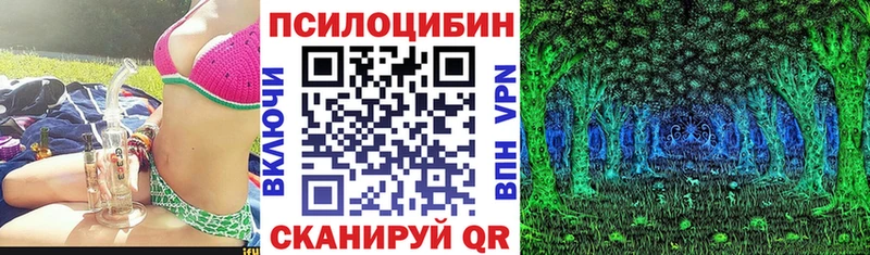 Псилоцибиновые грибы мицелий  купить   Тосно 